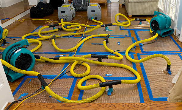 Professional Water Damage Restoration technician working in Watkinsville, GA